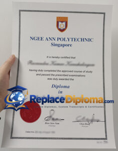 Ngee Ann Polytechnic Diploma