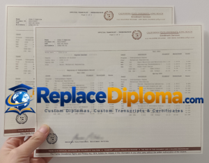 Following the Term Tables on a Cal State Long Beach Transcript Sample California State University, Long Beach transcript