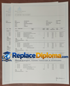 SEGi University transcript