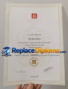 Temasek Polytechnic Diploma