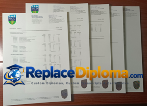 University College Dublin Transcript