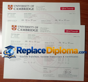 Closer Look at the Second Page of This Cambridge Transcript Sample University of Cambridge transcript
