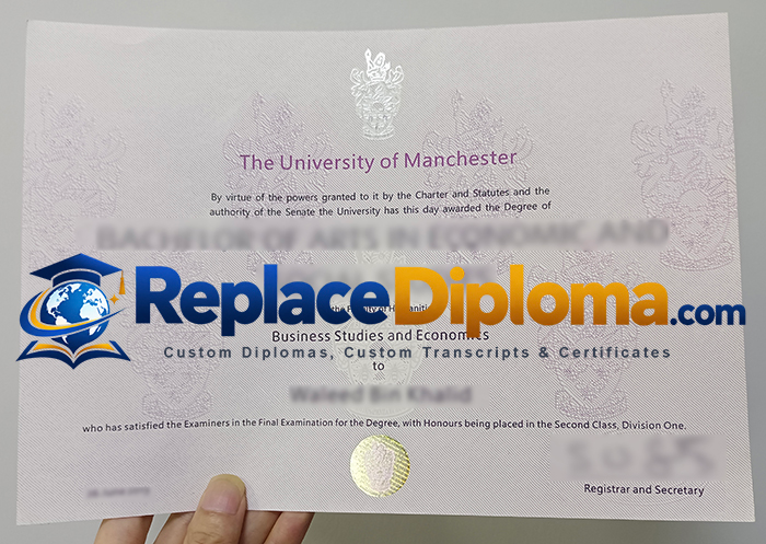 University of Manchester Degree