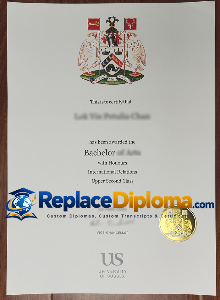 University of Sussex Degree
