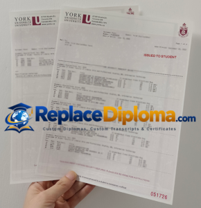 York University Transcript